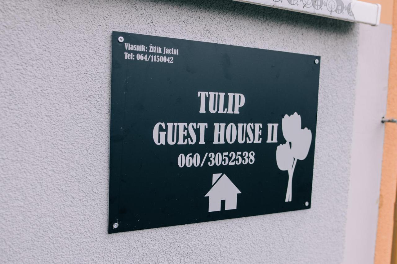 Tulip Guest House Ii. Палич Экстерьер фото